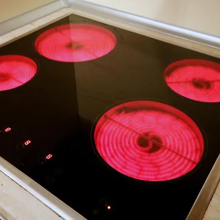 Rustic Apartman Temesvár