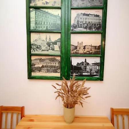 Rustic Apartman Temesvár