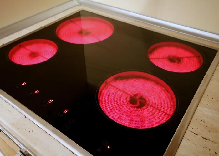 Rustic Lägenhet Timişoara