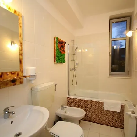 Rustic Апартаменты Тимишоара