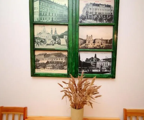 Rustic Apartment Timisoara