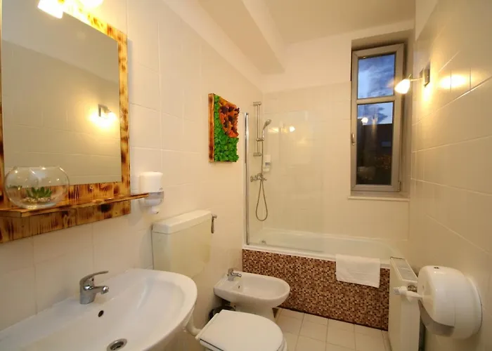 Rustic Apartment Timisoara